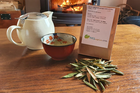 Image of Thé du Labrador