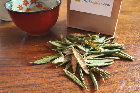 Image of Thé du Labrador